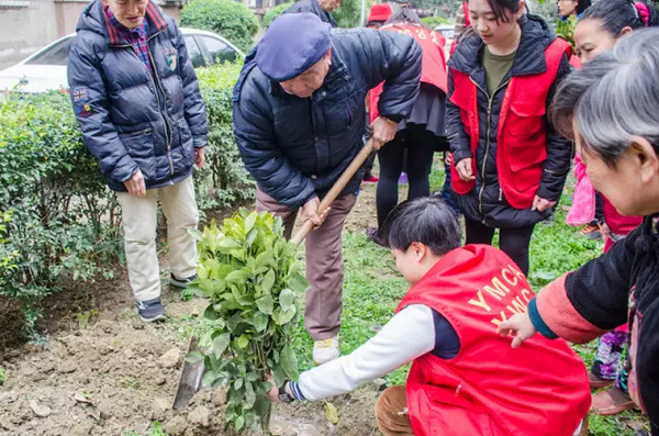 植树活动