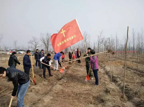 石家庄福音堂植树活动