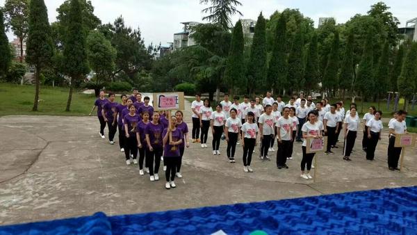 2017年夏季运动会