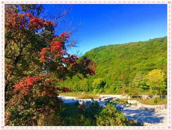 “橄榄山”秋景