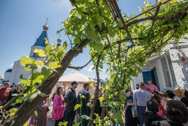 2022年5月24日，俄罗斯顿河畔罗斯托夫：来自乌克兰的难民家庭在位于俄罗斯西南部顿河畔罗斯托夫的俄罗斯东正教（莫斯科宗主教区）教区的主要人道主义援助中心排队领取援助物资。