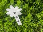 辽宁本溪兴纯兰牧师安息主怀，享年105岁