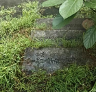 缅怀先贤，感恩传承——中山市基督教两会妥善处理原槎桥坟场历史遗物