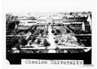 齐鲁大学.png
