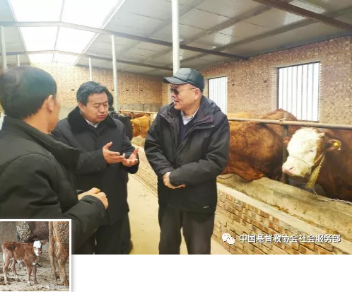 微信截图_20190226235327.png
