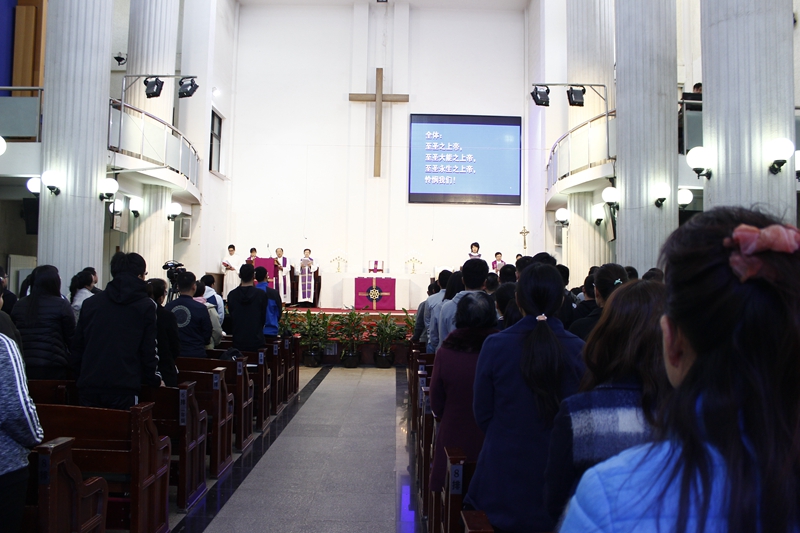 _MG_9558.JPG