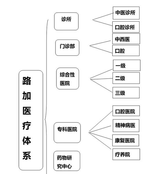 路加医疗体系.jpg